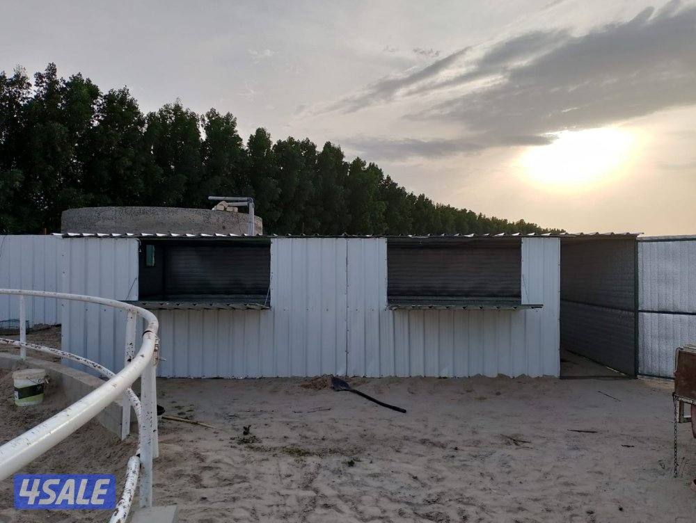 للبيع محاكر ومحاصير غنم + شبوك8