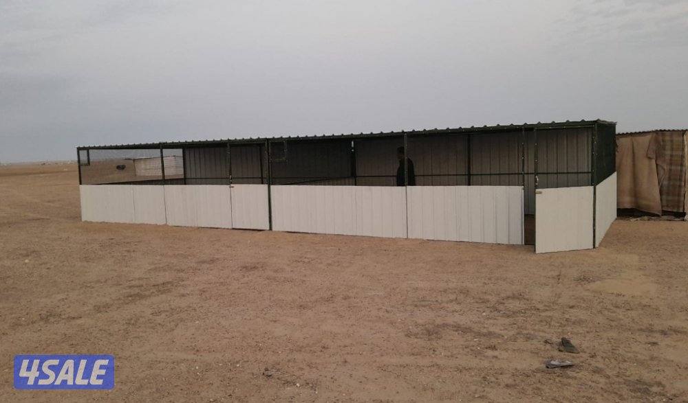 للبيع محاكر ومحاصير غنم + شبوك10