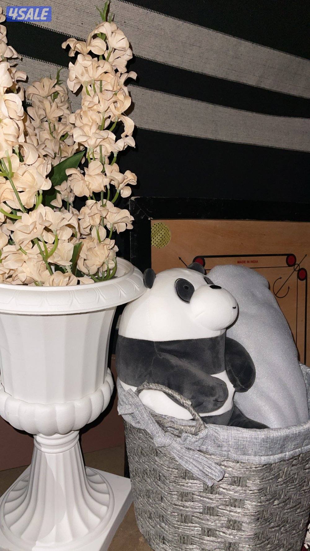 كشته thewinter.kashta3