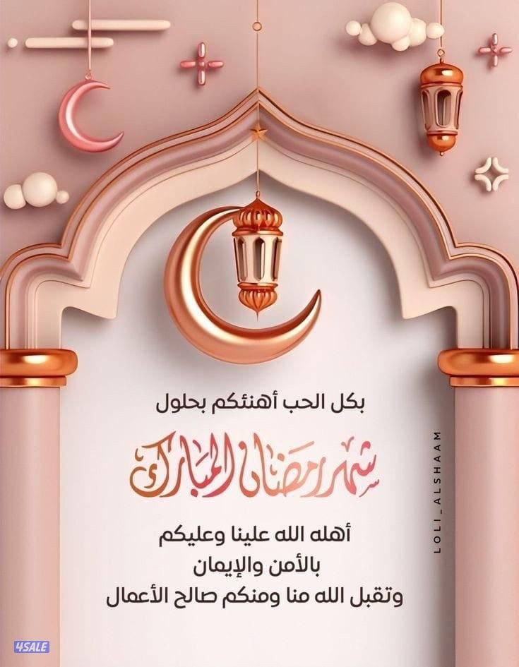 محاسب يبحث عنً دوام كامل0