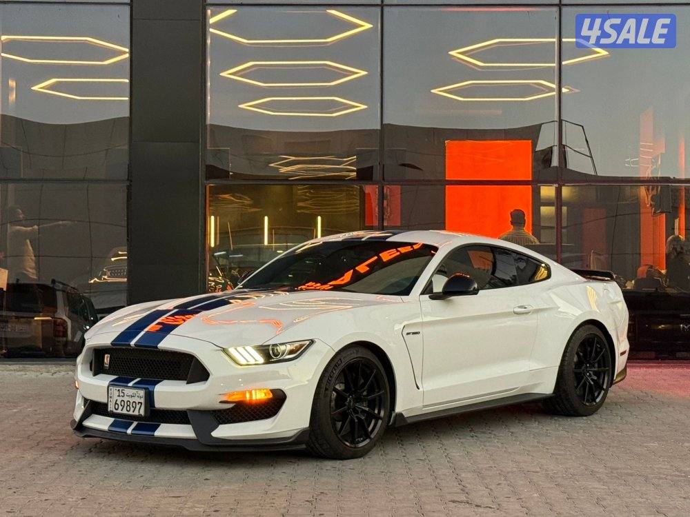 MUSTANG SHELBY 350 GT _20171