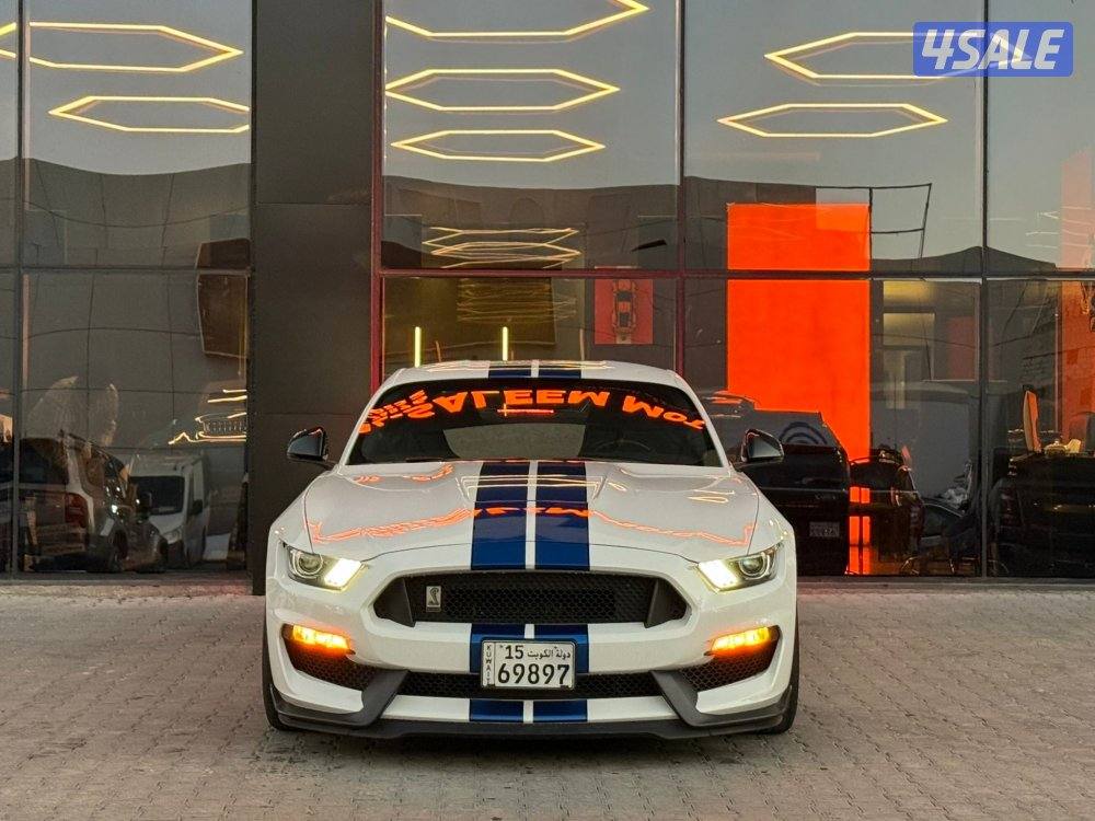 MUSTANG SHELBY 350 GT _20172