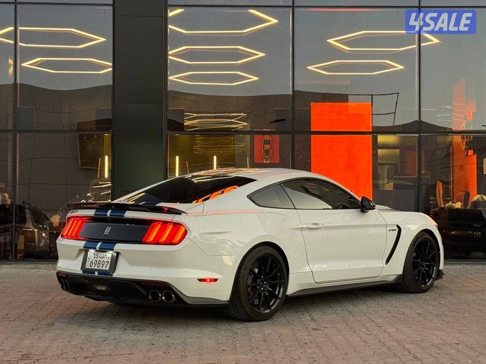 MUSTANG SHELBY 350 GT _20173
