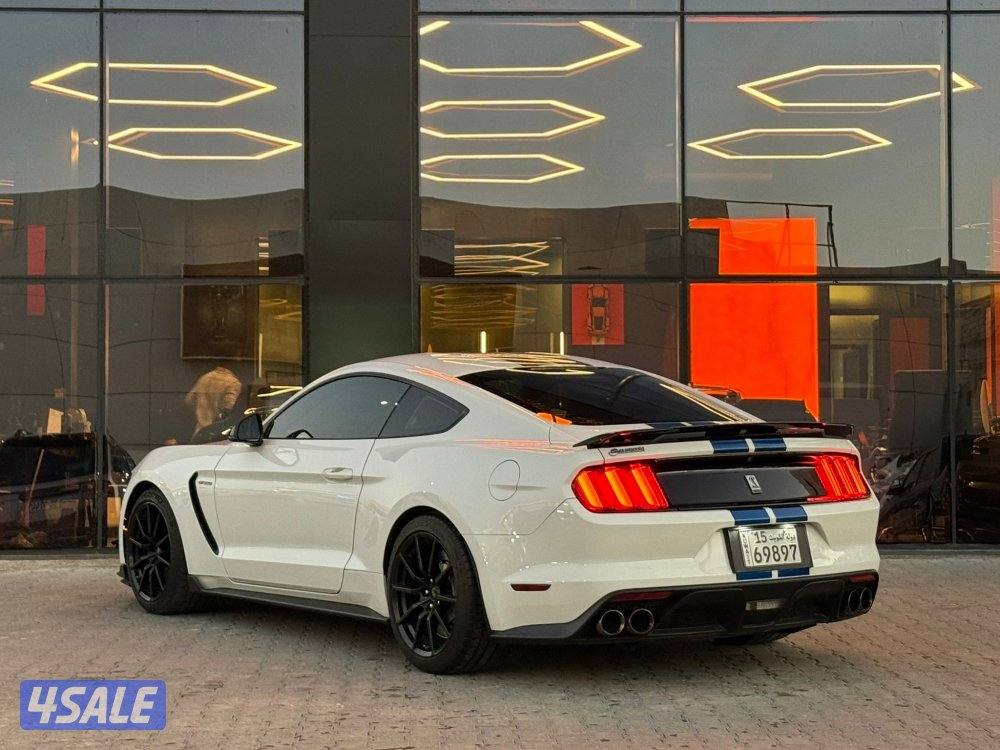 MUSTANG SHELBY 350 GT _20174