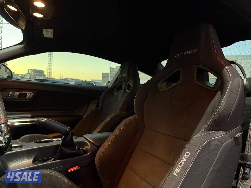 MUSTANG SHELBY 350 GT _20179