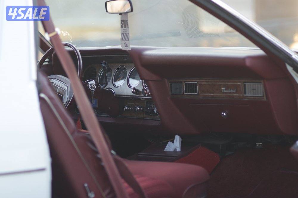 فورد ثندر بيرد موديل 19776