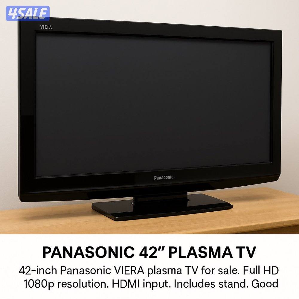 1 LG Flat Screen TV & 1 Panasonic Viera Plasma TV0