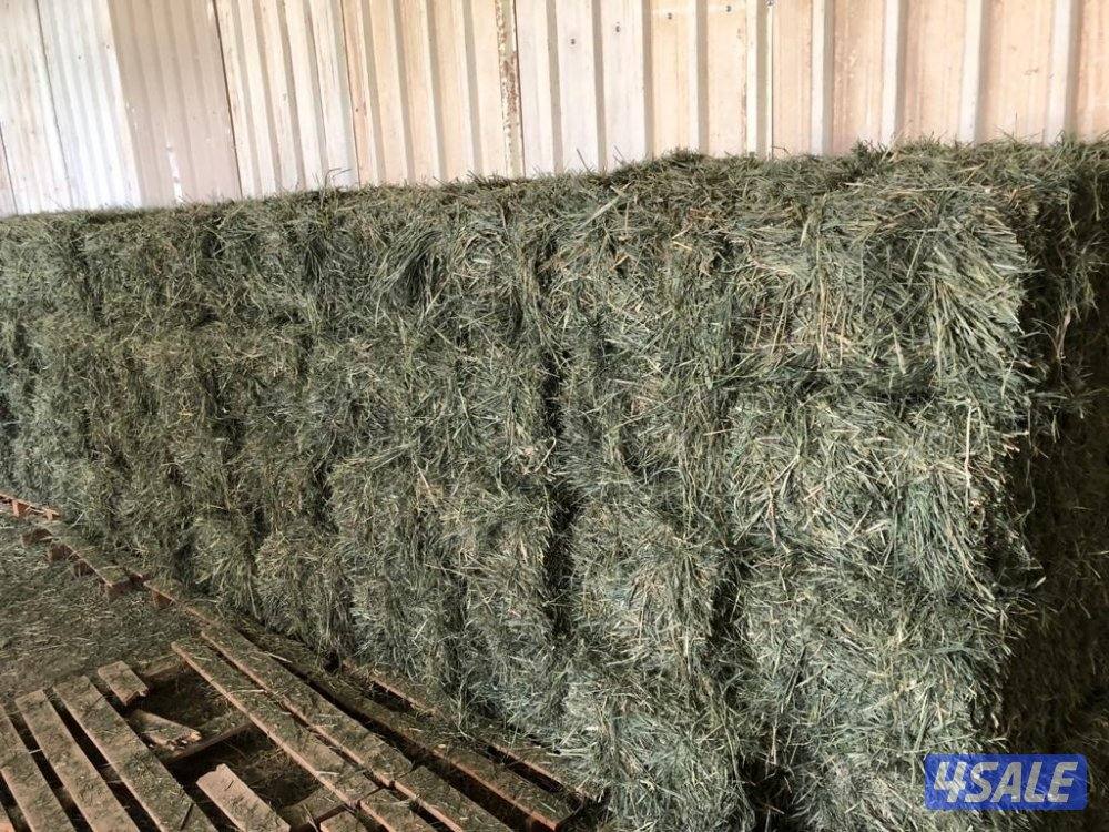 للبيع عدد 350 ربطه بلوبانك 2 دك (العبدلي ق6)1