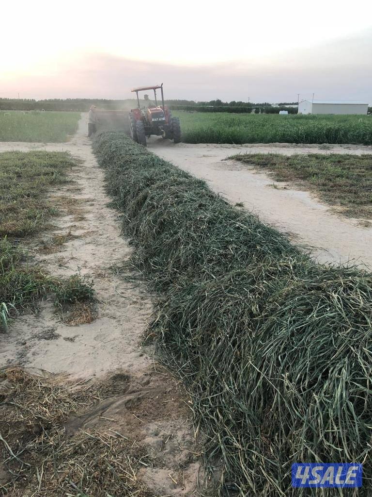 للبيع عدد 350 ربطه بلوبانك 2 دك (العبدلي ق6)3