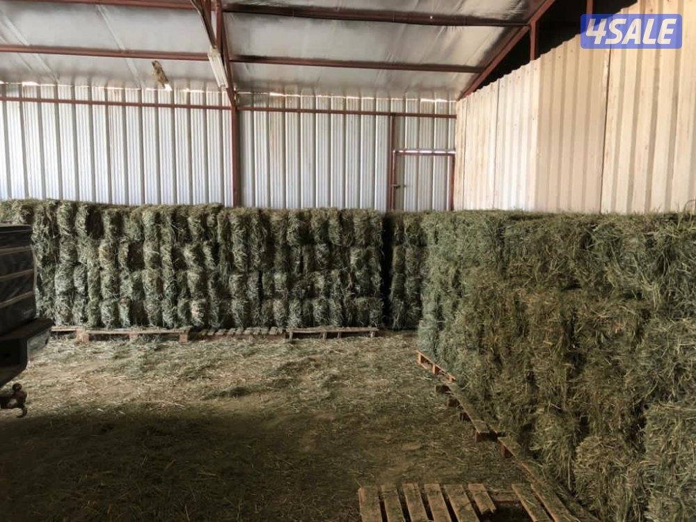 للبيع عدد 350 ربطه بلوبانك 2 دك (العبدلي ق6)5