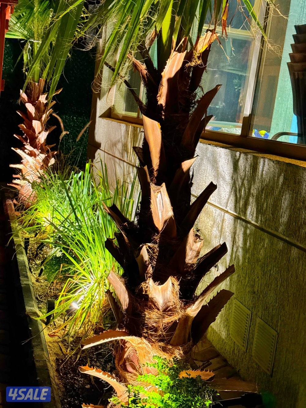 شاليه برايفت غيـر مقسوم ذات خصوصيه حمام سباحه داخلي قريب مول الخيـران6