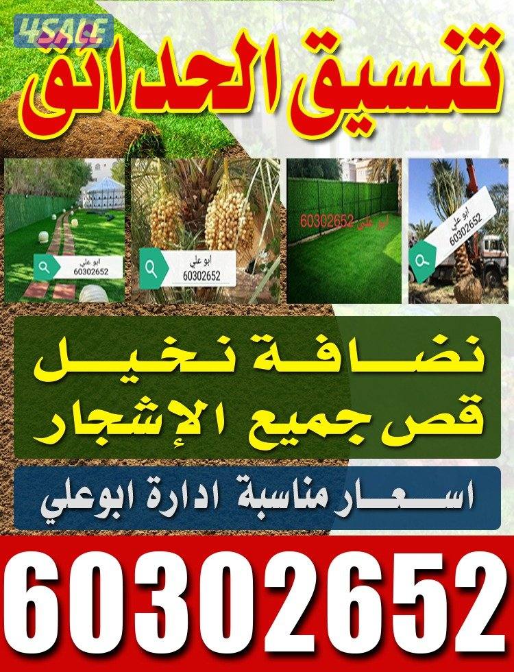 🌴 تكريب ونظافه النخيل 🌴جميع مناطق الكويت🇰🇼 وجميع قص الاشجار أبوعلي2