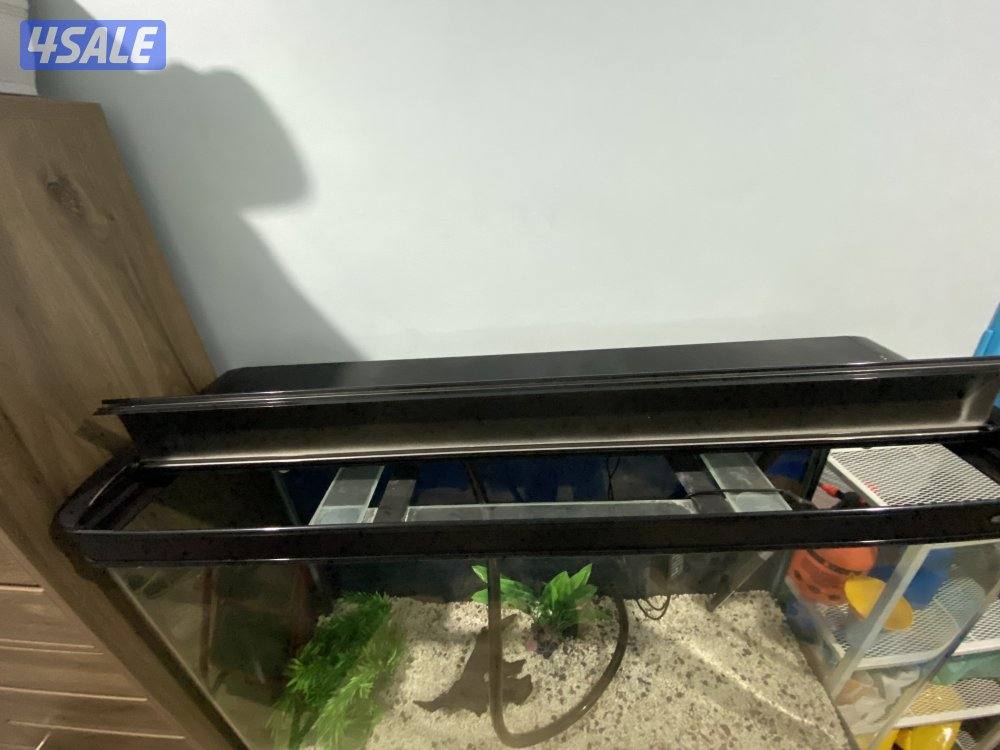 للبيع حوض سمك2