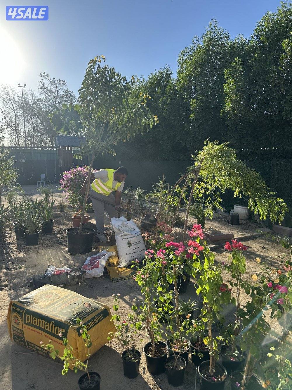 خضار يا كويت لتنسيق وصيانة الحدائق وبدائل الخشب والمقاولات العامة6