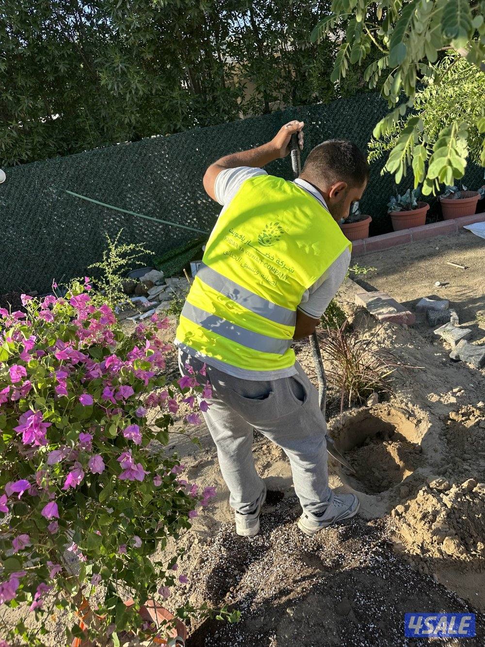 خضار يا كويت لتنسيق وصيانة الحدائق وبدائل الخشب والمقاولات العامة8