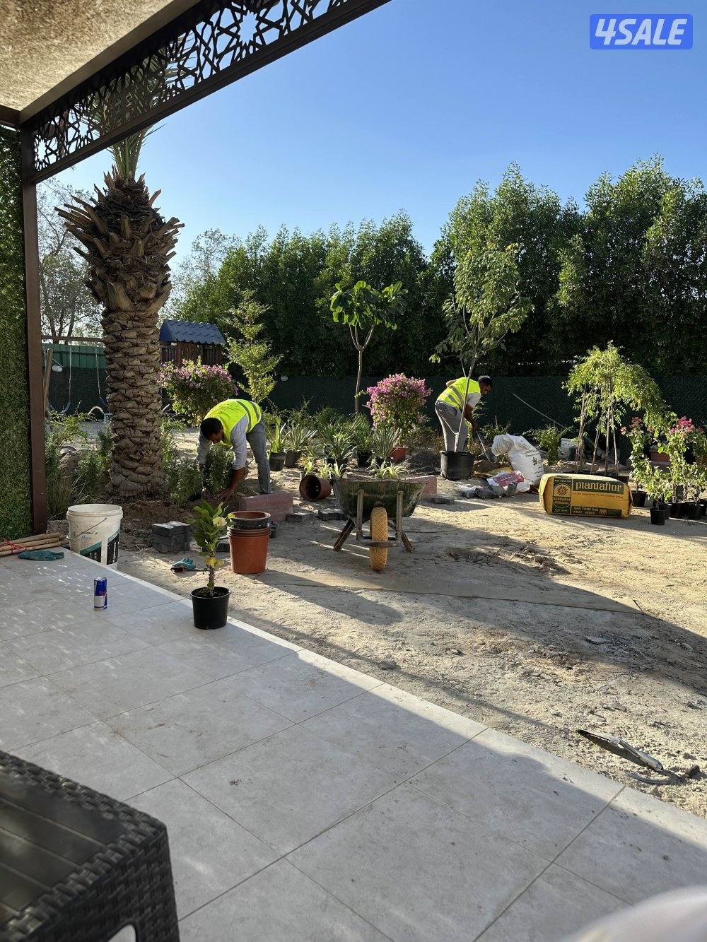 خضار يا كويت لتنسيق وصيانة الحدائق والمقاولات العامة12