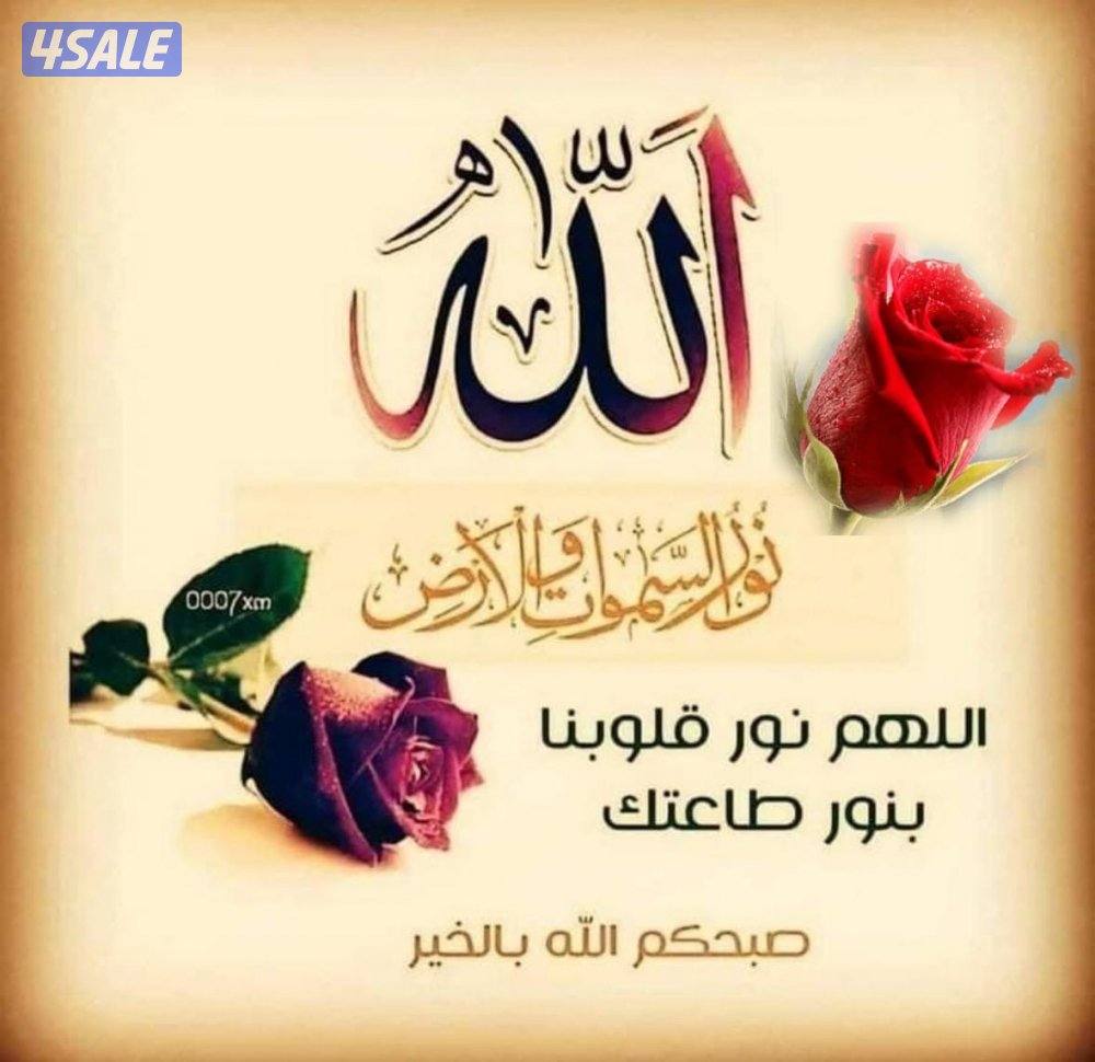 مطلوب مستثمر لتمويل مقهى ومطعم يضمن شهرياً2