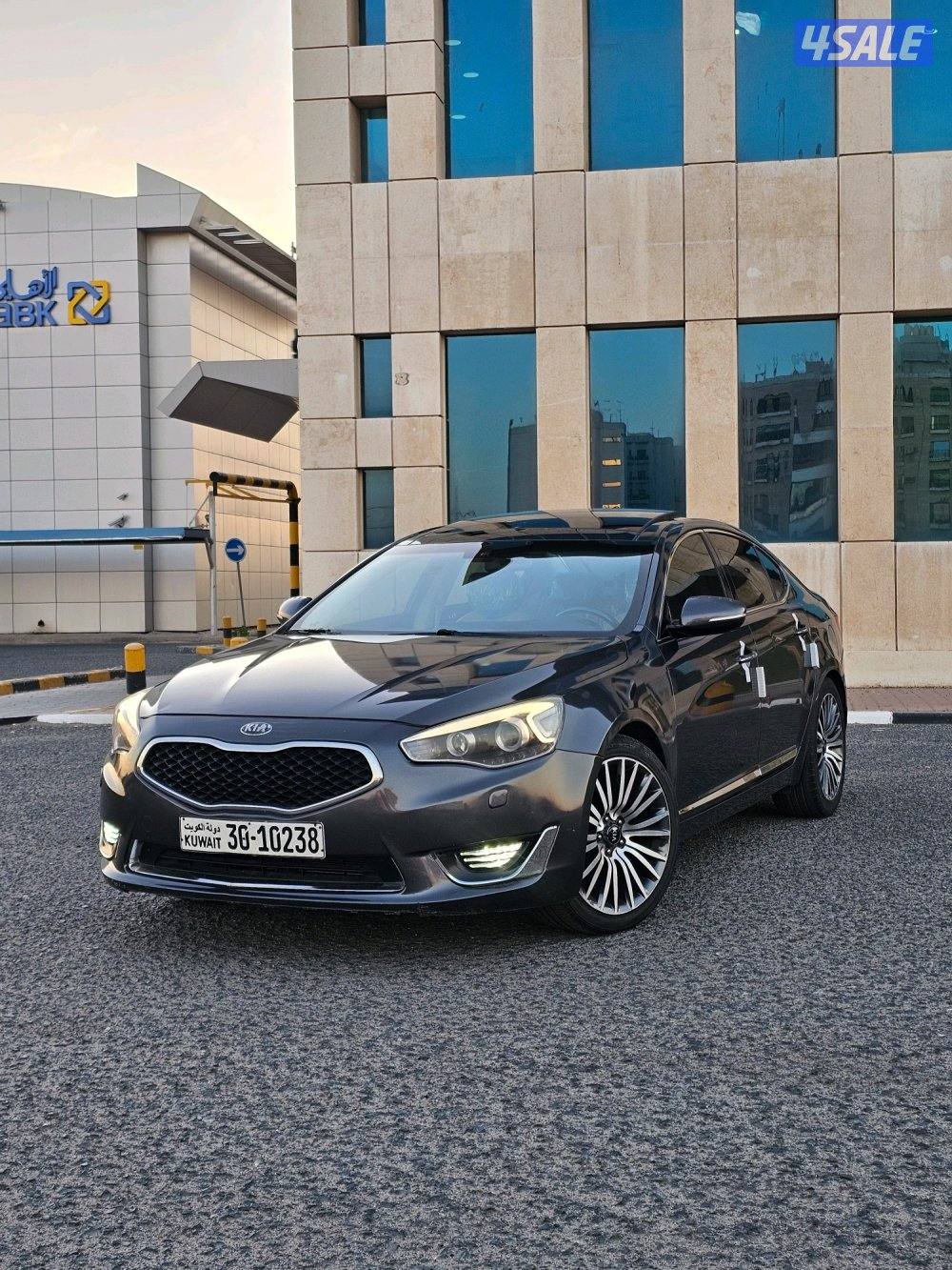 كادينزا 20140