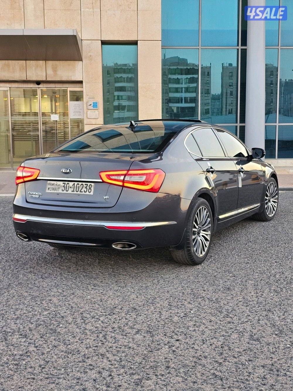 كادينزا 20142