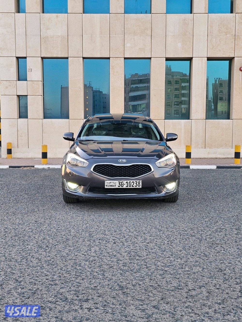 كادينزا 20141