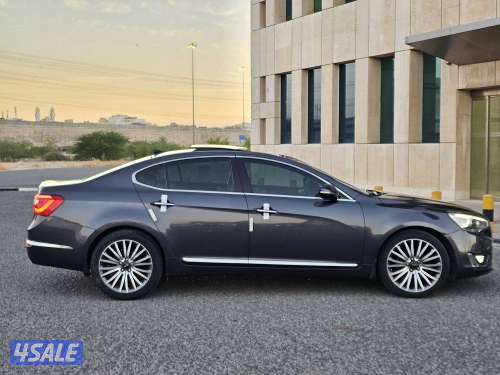 كادينزا 20143