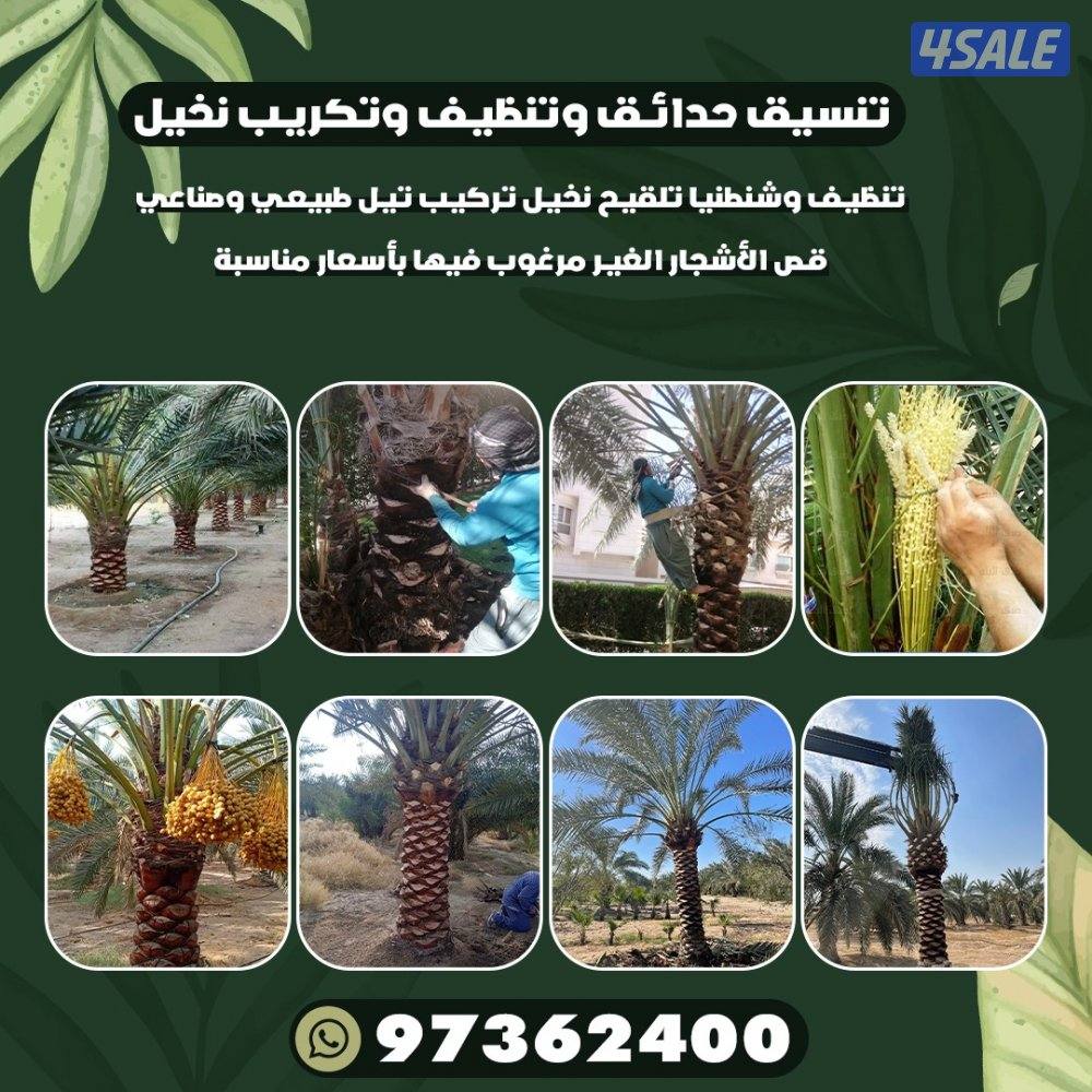 تنسيق حدائق وتنظيف وتكريب نخيل2