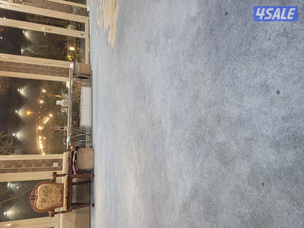 أرغب بالعمل في ديونيا. لديّ خبرة عملية.3