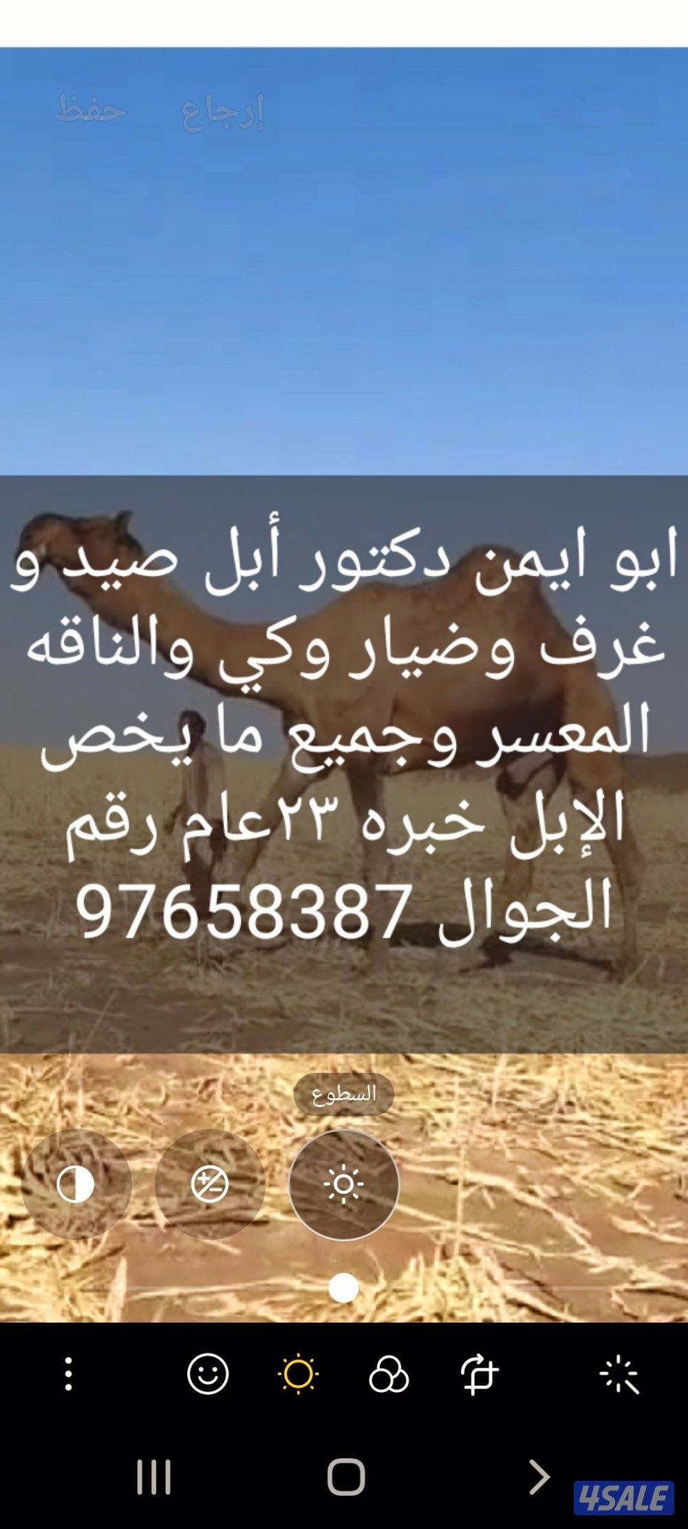 ابوايمن دكتور ابل صيد وغرف وضيار وكي والناقه المعسر وجميع ما يخص الإبل0