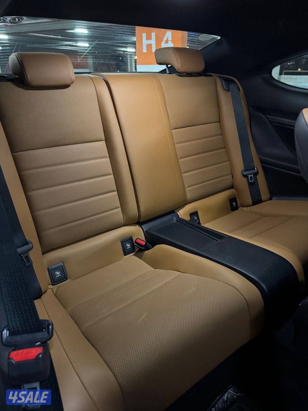 الشرق الصوابر10