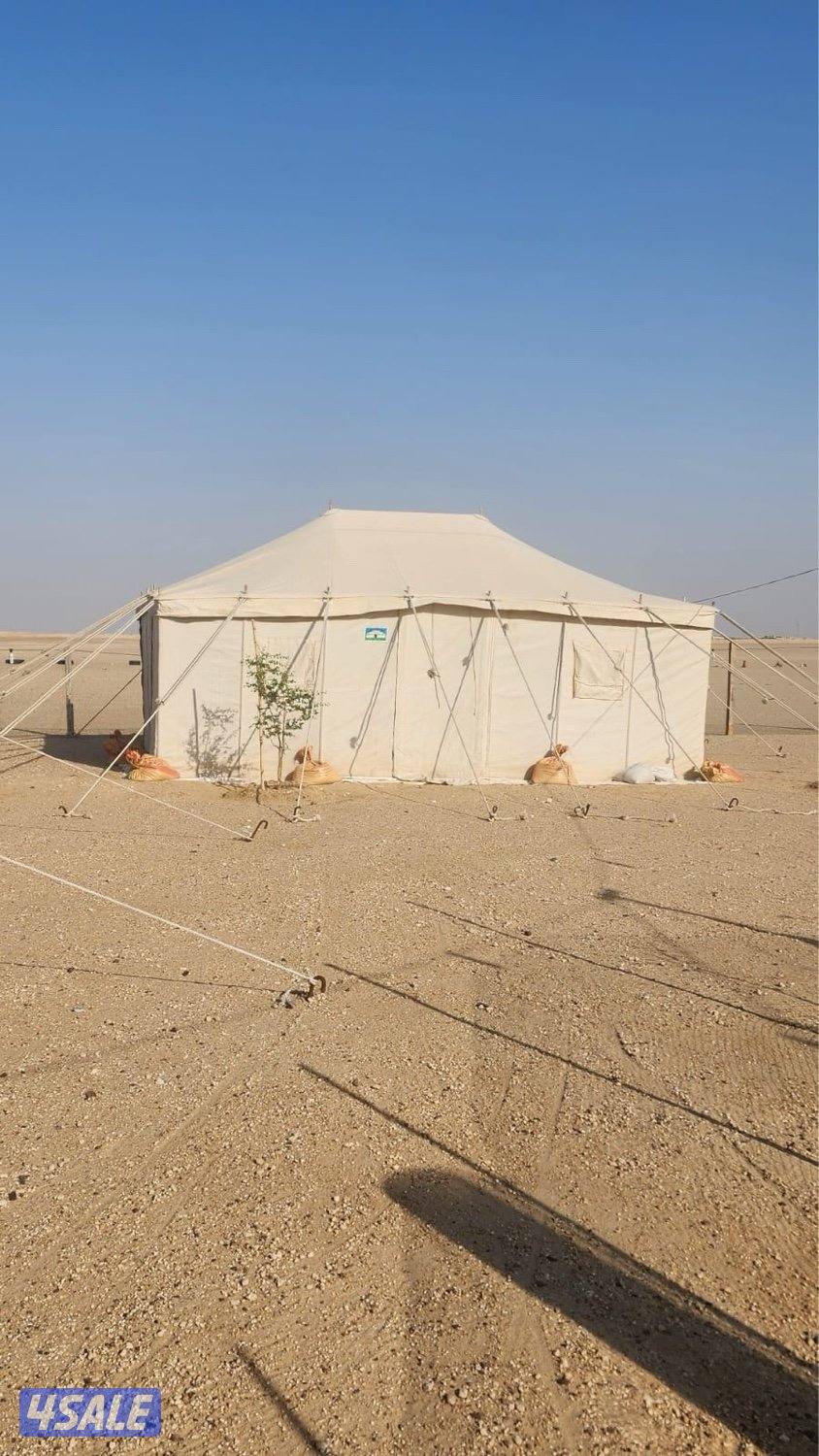 صباحيه للبيع 4/6 استعمال موسم واحد0