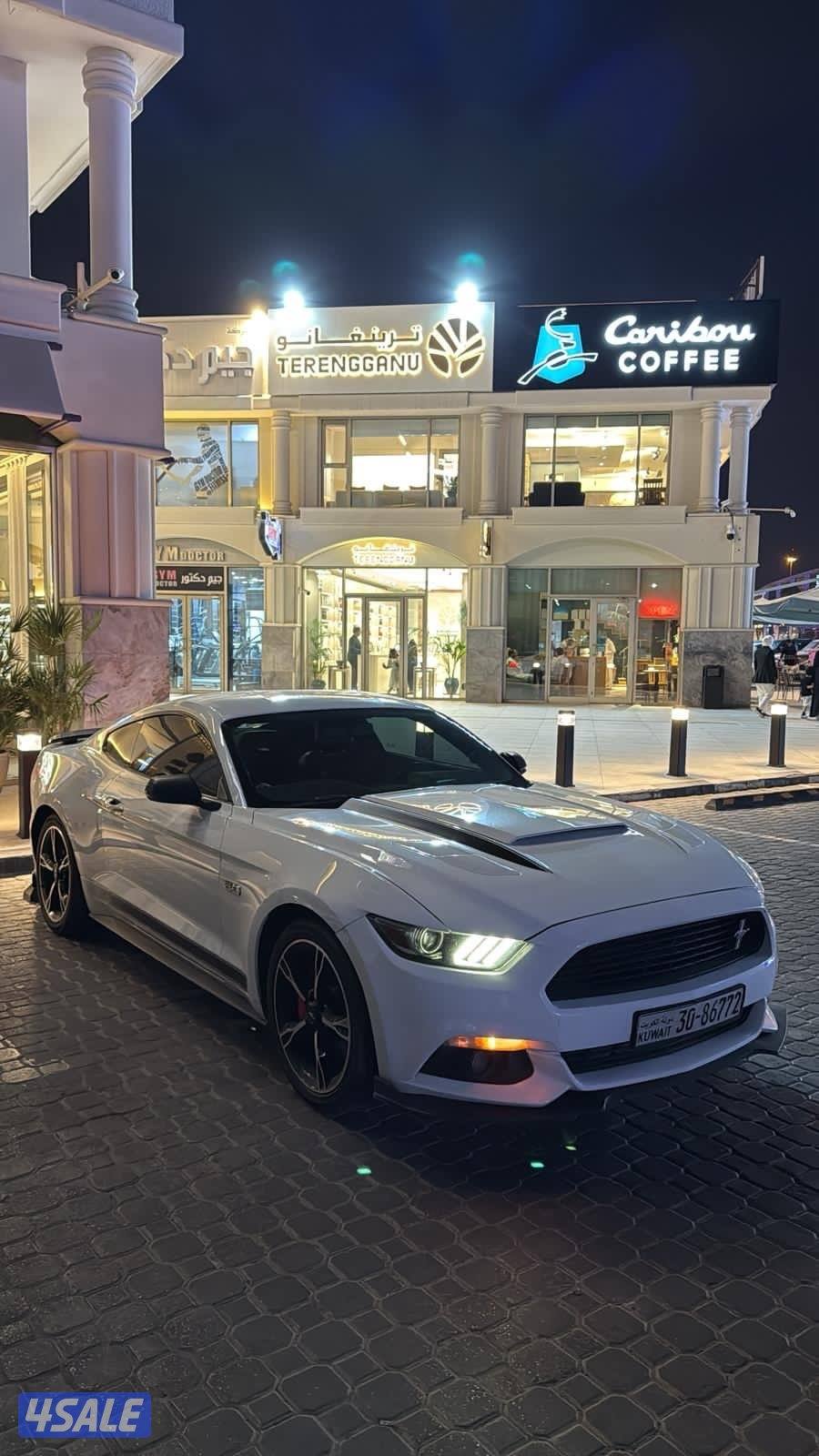 للبيع موستنق3