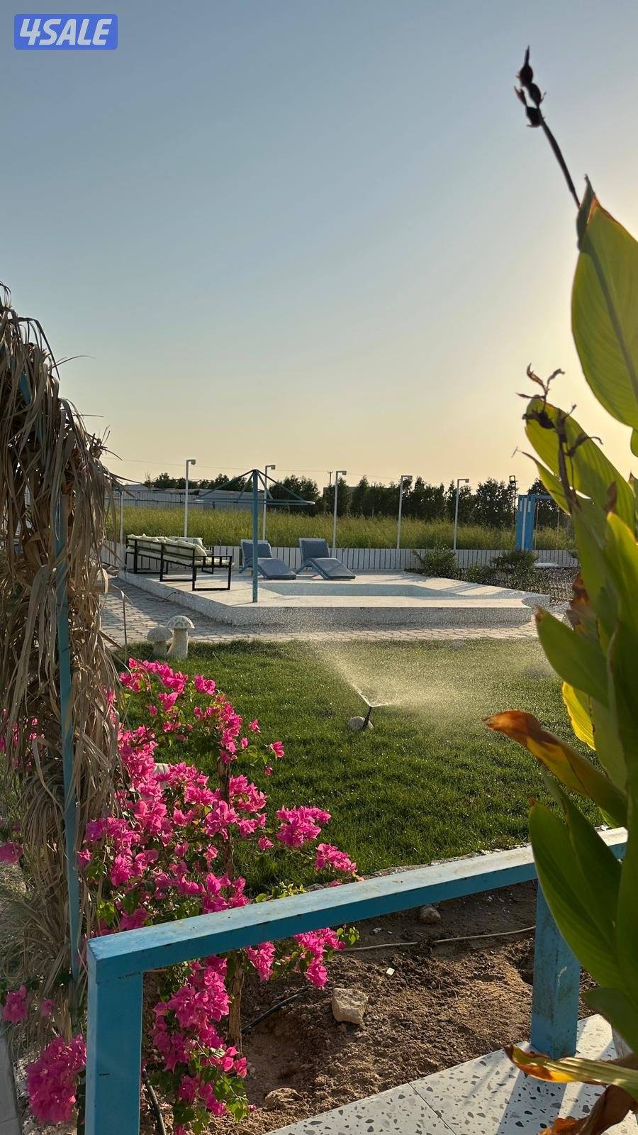 مزرعة بلو دار للايجار3