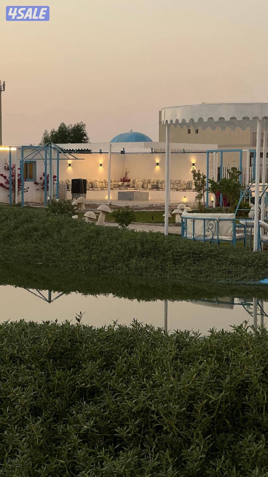 مزرعة بلو دار للايجار4