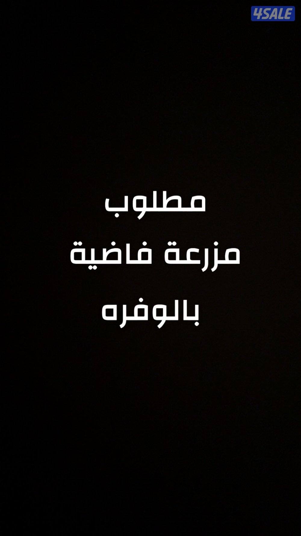 مطلوب مزعة بالوفرة0