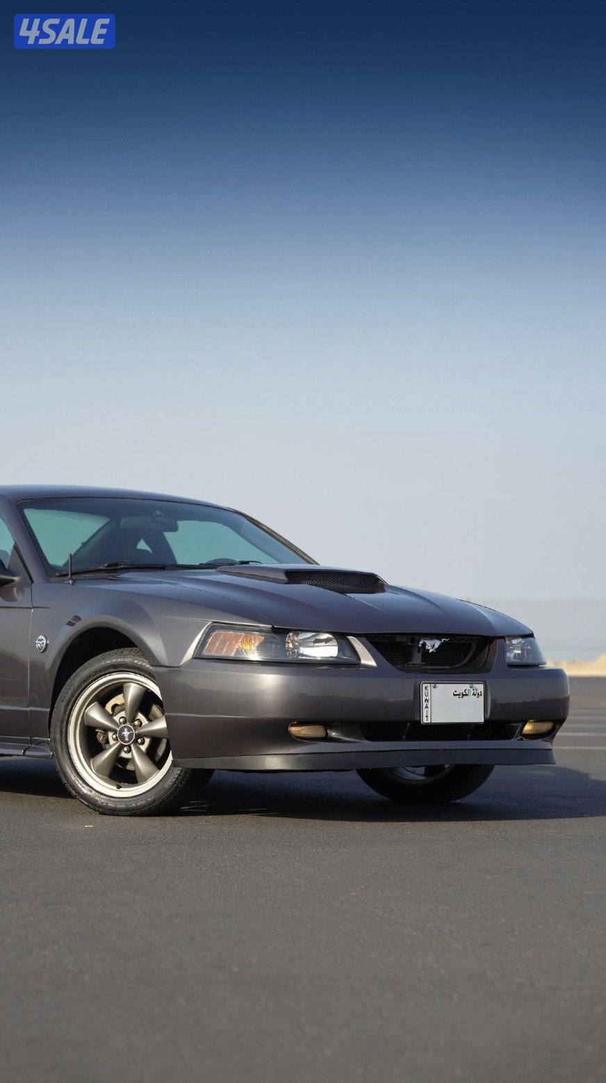 موستنق 2004 شاصي (جيد)3