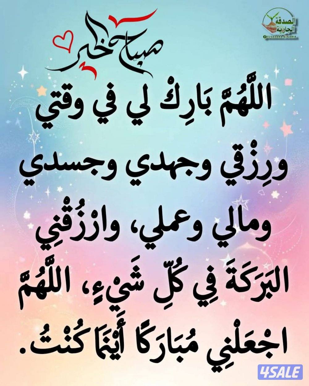 سوداني ابحث عن عمل0