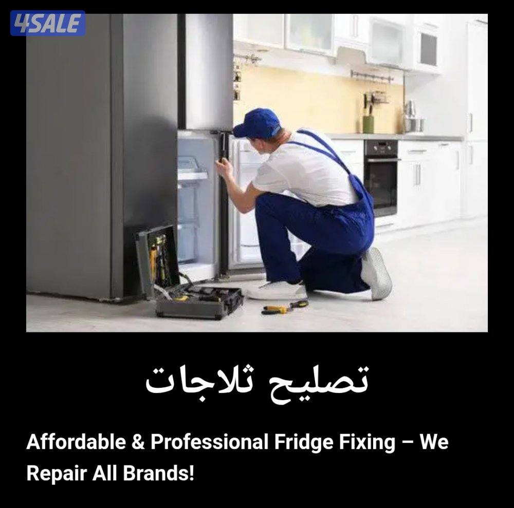 Repair Refrigerators / freezer2