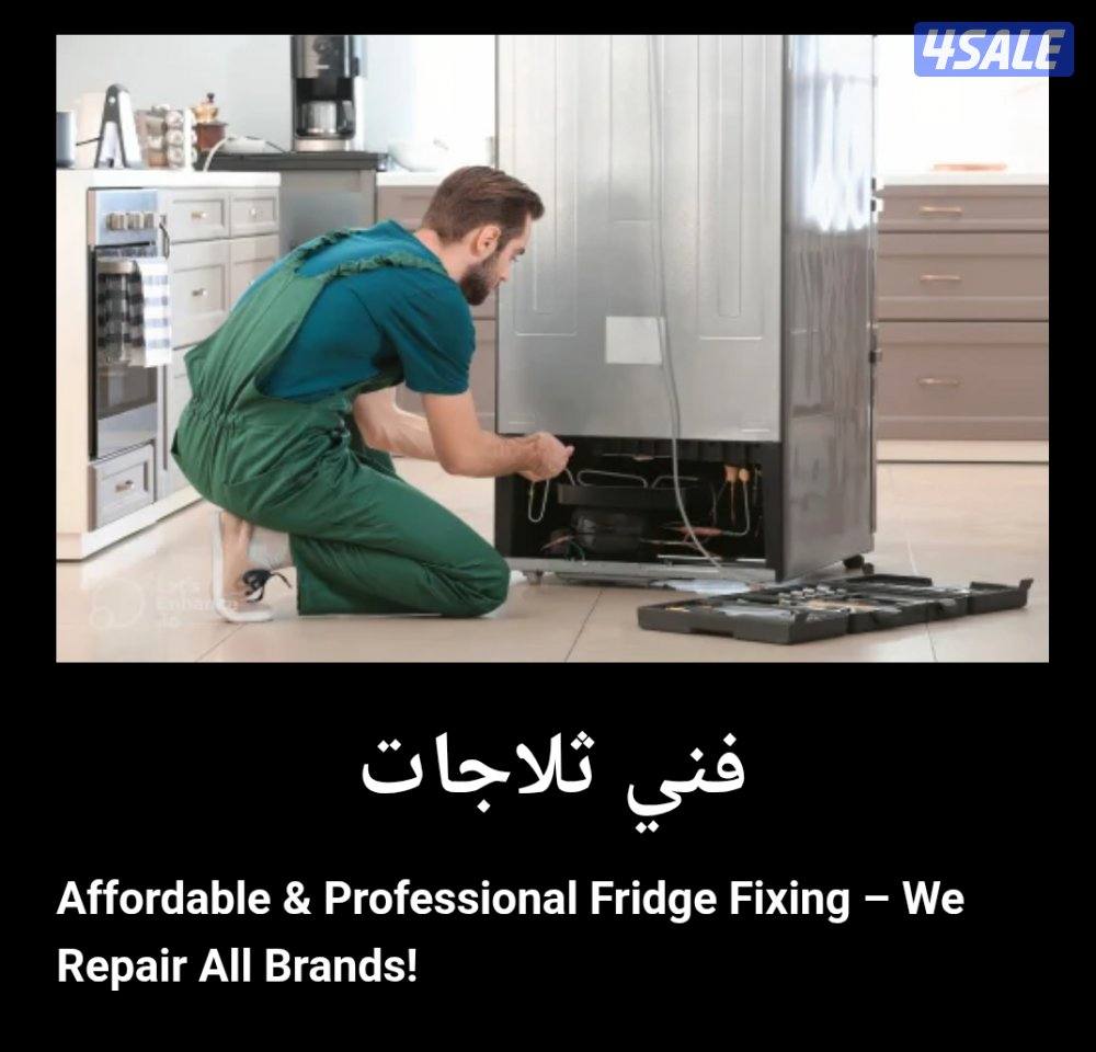 Repair Refrigerators / freezer1