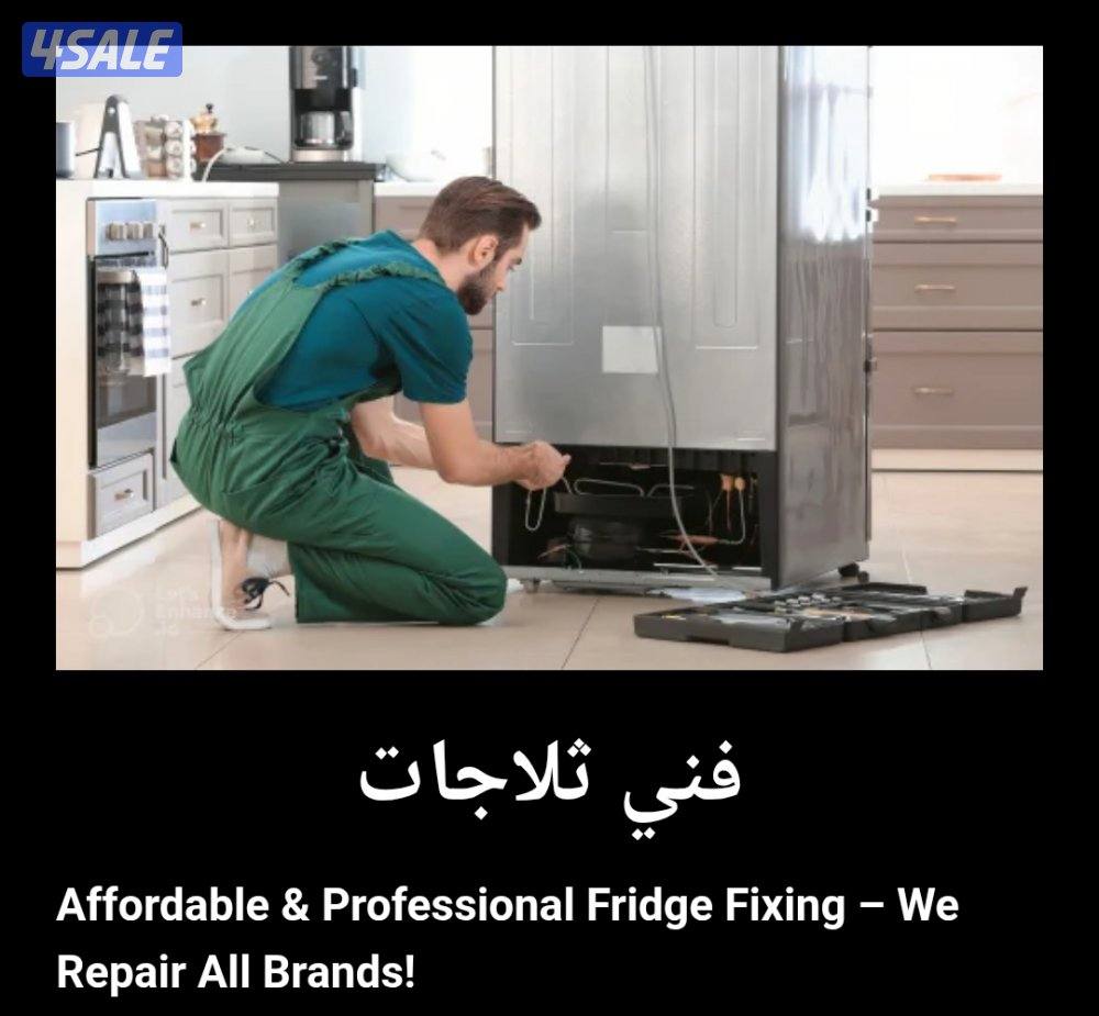 Repair Refrigerators / freezer3