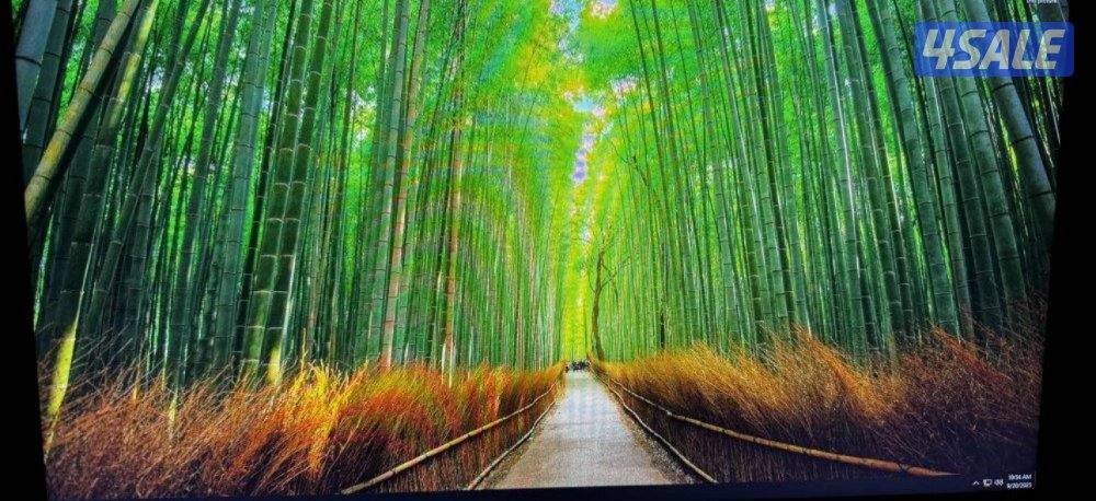 بيسي للبيع1