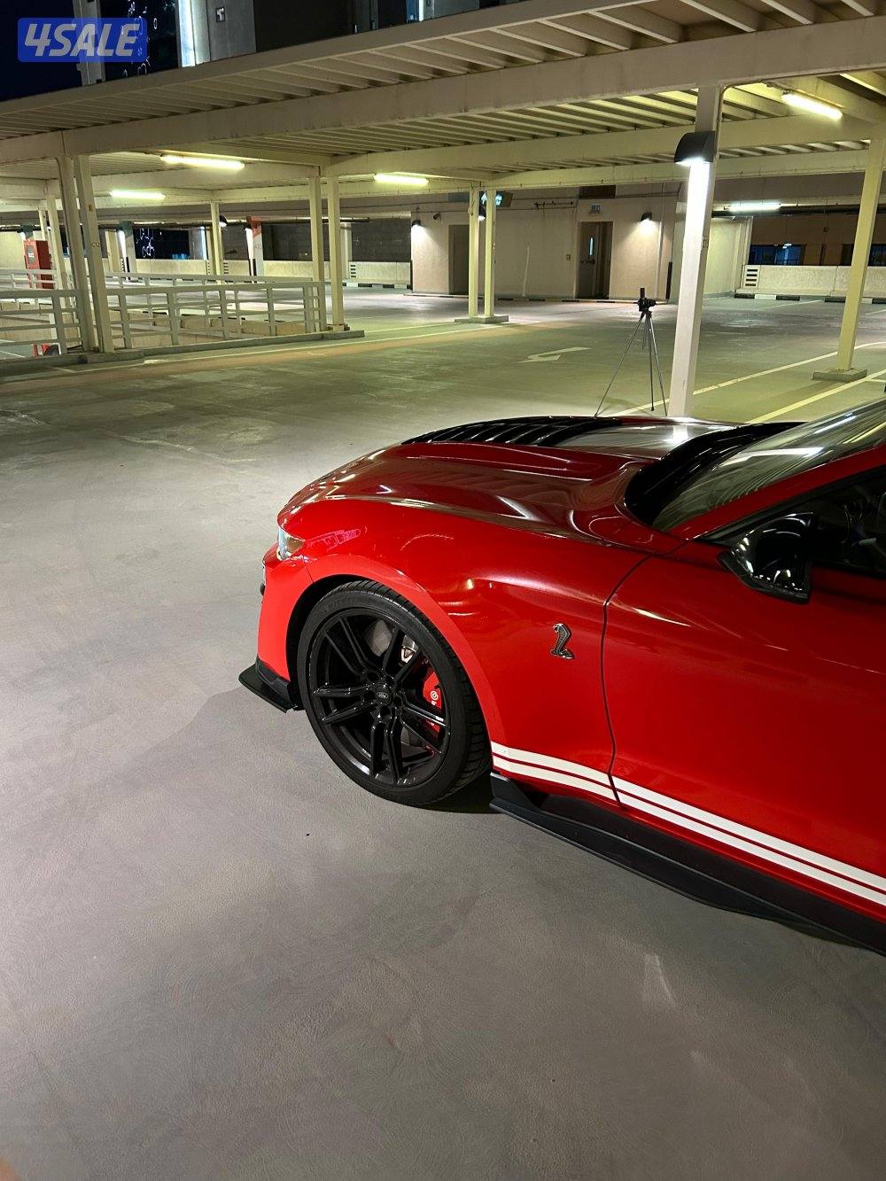 للبيع موستنق شلبي جي تي 5002