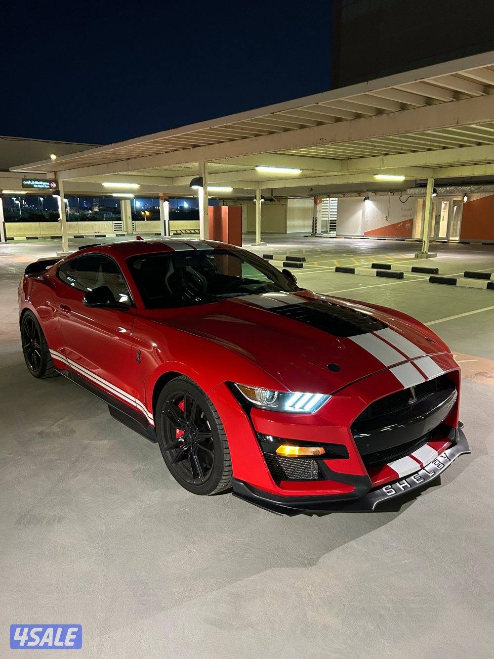 للبيع موستنق شلبي جي تي 5003