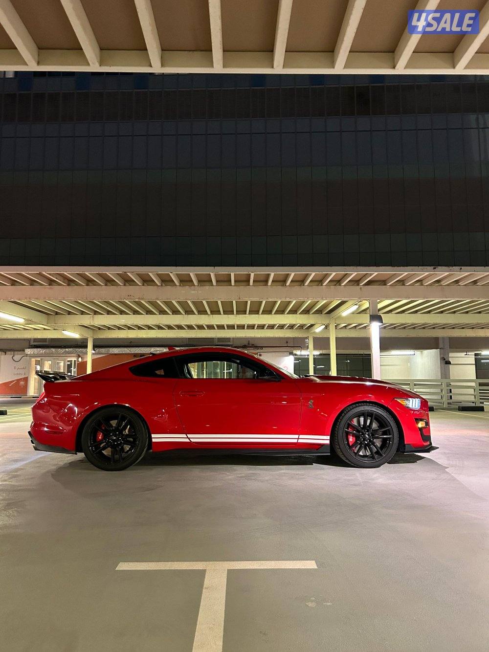 للبيع موستنق شلبي جي تي 5005