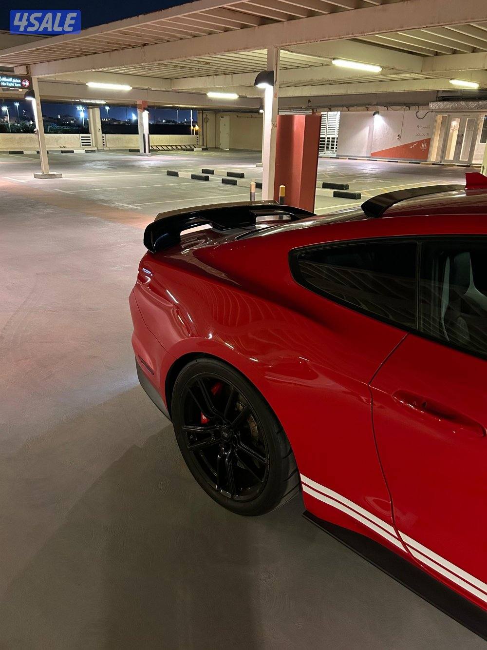 للبيع موستنق شلبي جي تي 5006