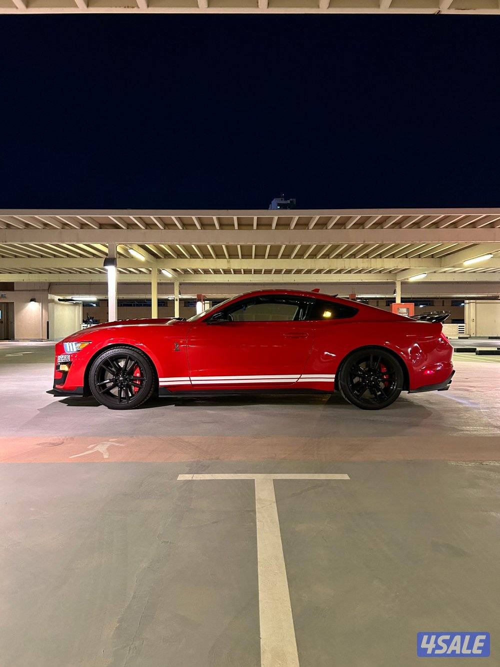 للبيع موستنق شلبي جي تي 5007