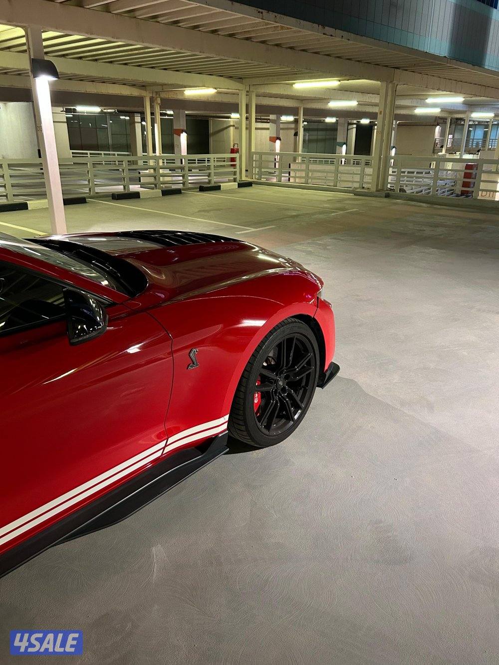 للبيع موستنق شلبي جي تي 5008