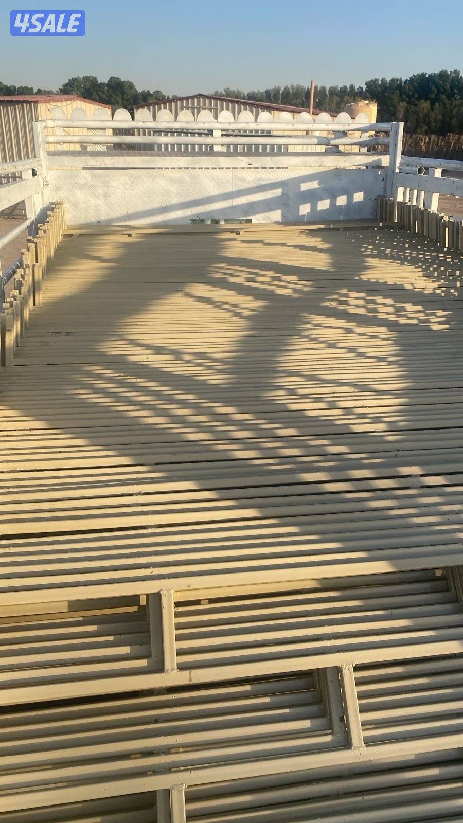 تفصال شبوك غنم3