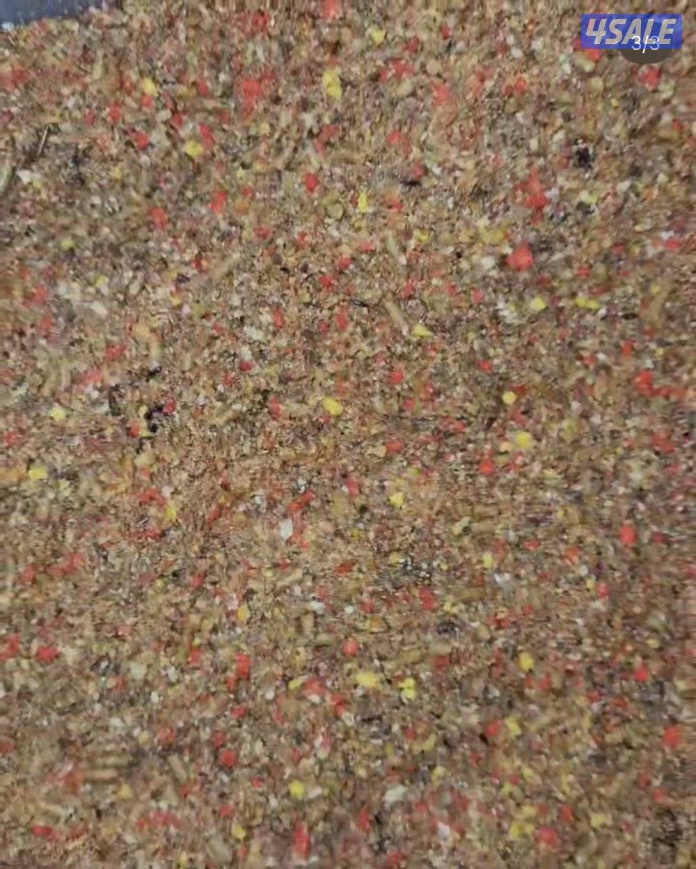 فروخ متنوعه5