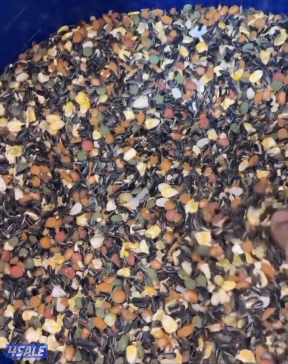 فروخ متنوعه6