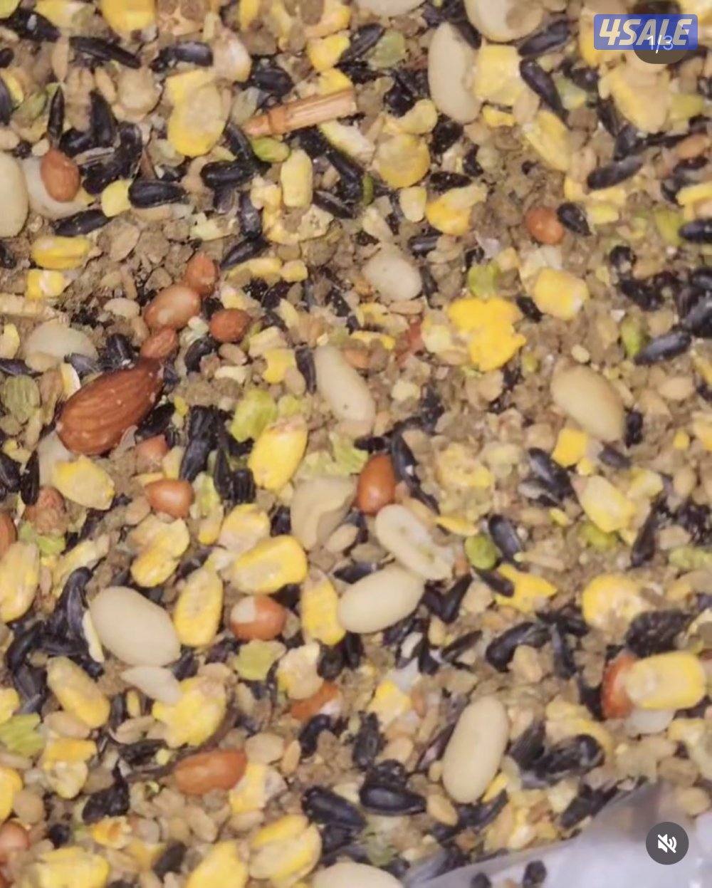 فروخ متنوعه8